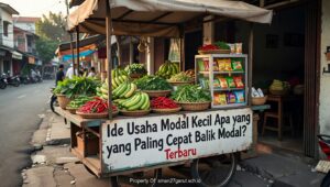ide-usaha-modal-kecil-cepat