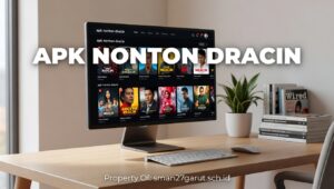 panduan-praktis-nonton-drakor-lewat-apk